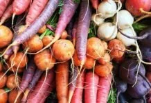 Root Vegetables And Benefits
